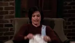Monica Geller: Hey, I'm the chef of this family sitcom meme