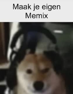 Doge Dog Wears Gamer Headset 