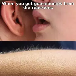 When you get goosebumps from the reactions meme