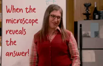When the microscope reveals the answer! meme