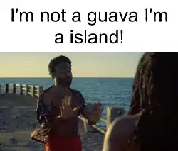 I'm not a guava I'm a island! meme