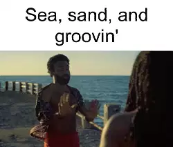 Sea, sand, and groovin' meme