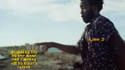 Grabbing life by the hand and running off to Guava Island meme