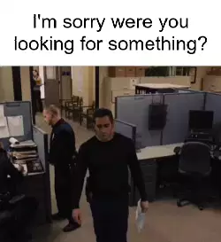 I'm sorry were you looking for something? meme