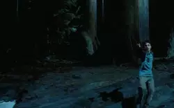 When you're standing in a forest, wand in hand and everything is riding on you meme