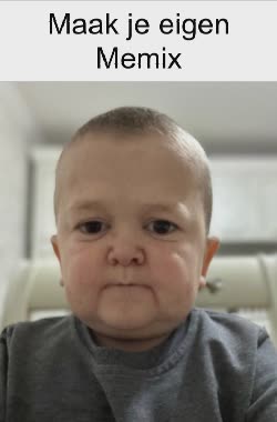 Hasbulla Stares At Camera Blankly 