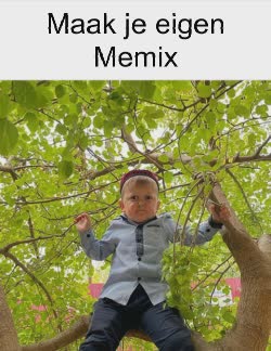 Hasbulla Looks Down From A Tree 