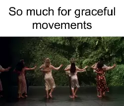 So much for graceful movements meme