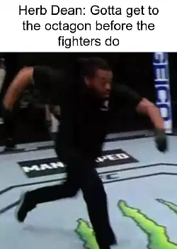 Herb Dean: Gotta get to the octagon before the fighters do meme