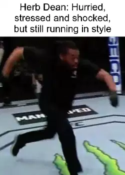 Herb Dean: Hurried, stressed and shocked, but still running in style meme