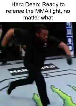 Herb Dean: Ready to referee the MMA fight, no matter what meme