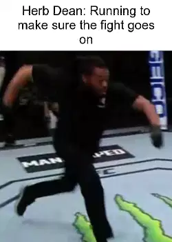 Herb Dean: Running to make sure the fight goes on meme