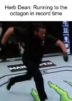 Herb Dean: Running to the octagon in record time meme