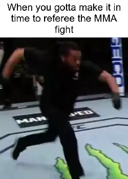 When you gotta make it in time to referee the MMA fight meme