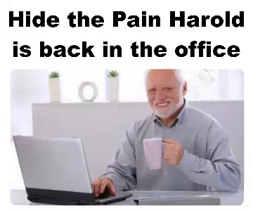 Hide the Pain Harold is back in the office meme