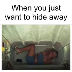 When you just want to hide away meme