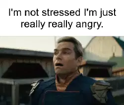 I'm not stressed I'm just really really angry. meme