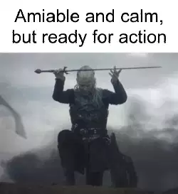 Amiable and calm, but ready for action meme