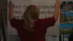 Red dress, blonde hair, and a poster on the wall - just another day in the office meme