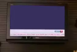 Woman Looks At TV In Room 