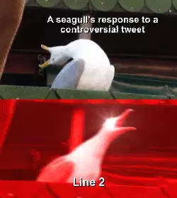 A seagull's response to a controversial tweet meme