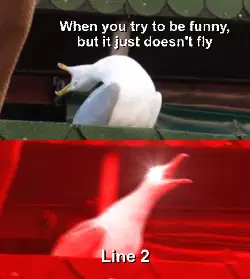 When you try to be funny, but it just doesn't fly meme