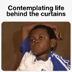 Contemplating life behind the curtains meme