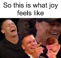 So this is what joy feels like meme