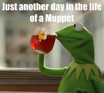 Just another day in the life of a Muppet meme