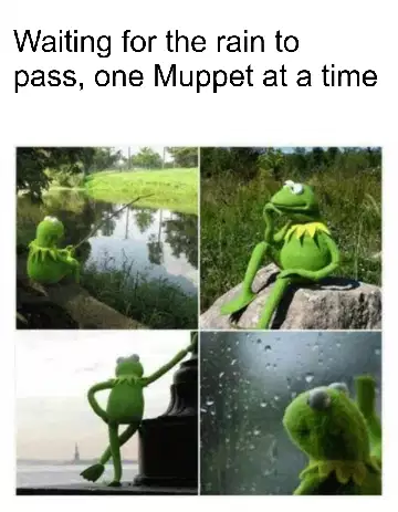 Waiting for the rain to pass, one Muppet at a time meme