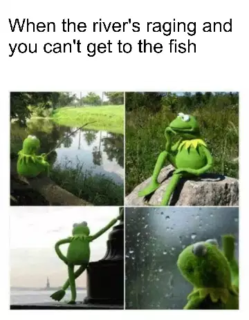 When the river's raging and you can't get to the fish meme