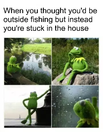 When you thought you'd be outside fishing but instead you're stuck in the house meme
