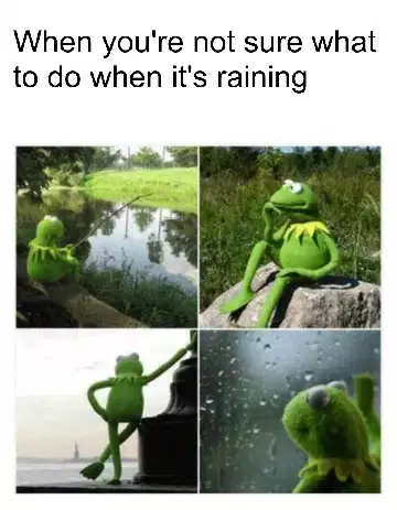 When you're not sure what to do when it's raining meme