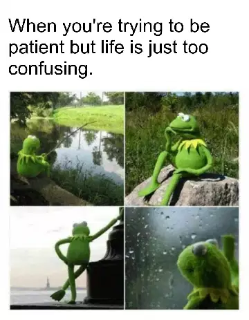 When you're trying to be patient but life is just too confusing. meme