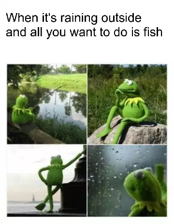 When it's raining outside and all you want to do is fish meme