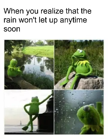When you realize that the rain won't let up anytime soon meme