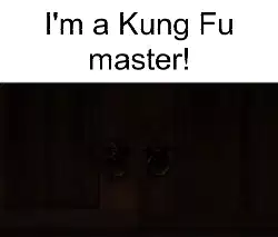 I'm a Kung Fu master! meme