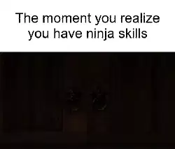 The moment you realize you have ninja skills meme