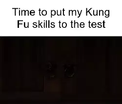 Time to put my Kung Fu skills to the test meme