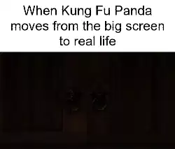 When Kung Fu Panda moves from the big screen to real life meme