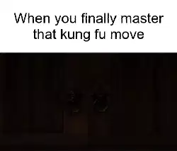 When you finally master that kung fu move meme