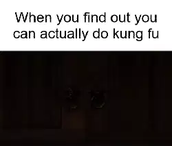 When you find out you can actually do kung fu meme