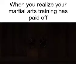 When you realize your martial arts training has paid off meme