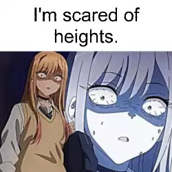 I'm scared of heights. meme