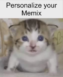 kitten-crying