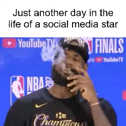 Just another day in the life of a social media star meme