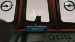 Penguing Jumping On Keyboard In Ship 