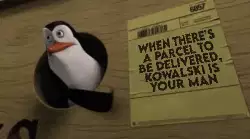 When there's a parcel to be delivered, Kowalski is your man meme