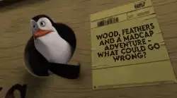 Wood, feathers and a madcap adventure - what could go wrong? meme