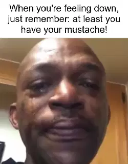 When you're feeling down, just remember: at least you have your mustache! meme